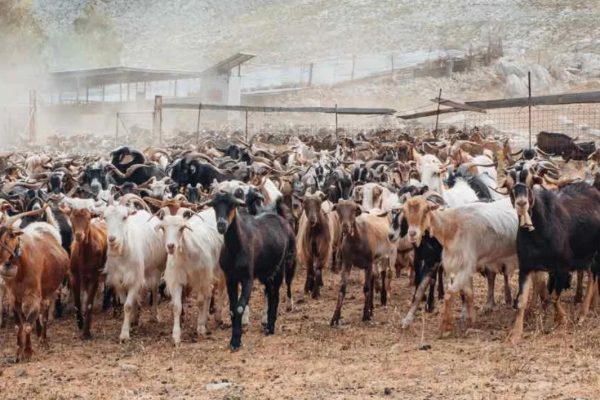 481199011_652750227275517_2843773013122219706_n