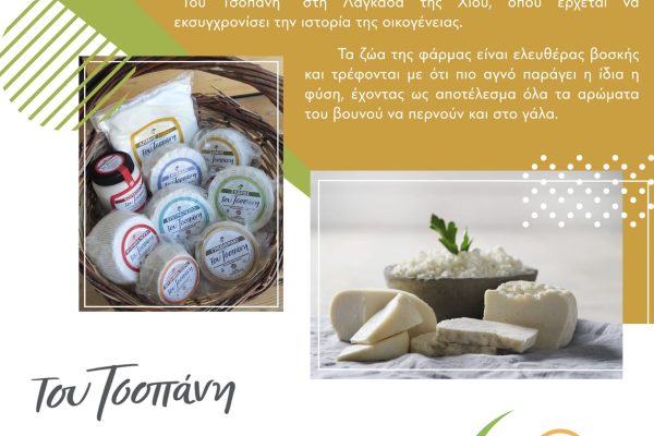 520896833_630543963403315_4651202899072981041_n