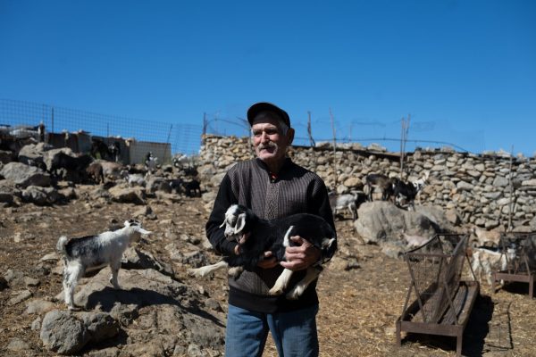 farma-georgouli-anoigma-2048x1365