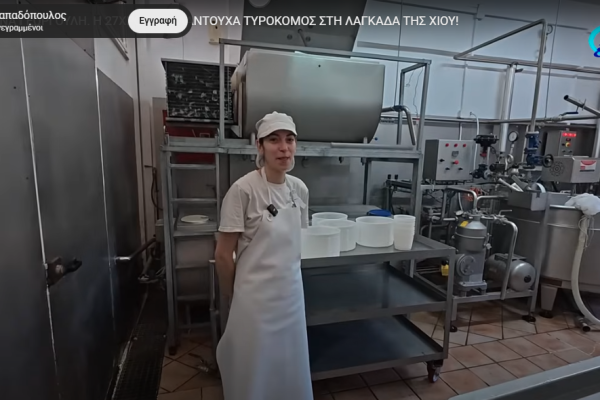 Στιγμιότυπο οθόνης 2025-11-04 105604